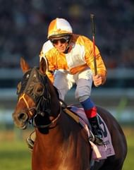 Franco Dettori will be free to resume riding on May 19 if fresh tests are clean